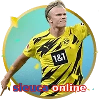 sieuca online