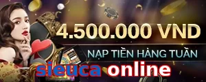 sieuca online