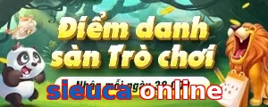 sieuca online