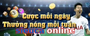 sieuca online